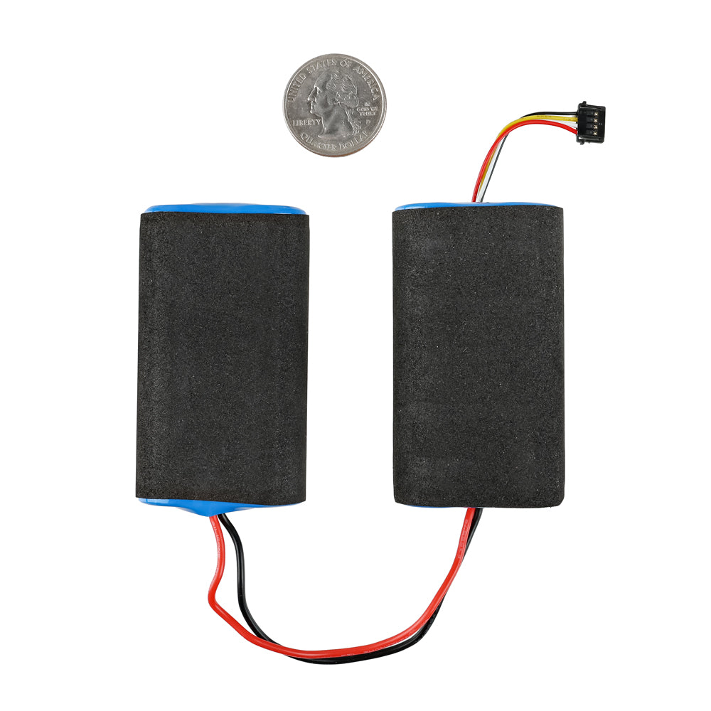 FP Battery